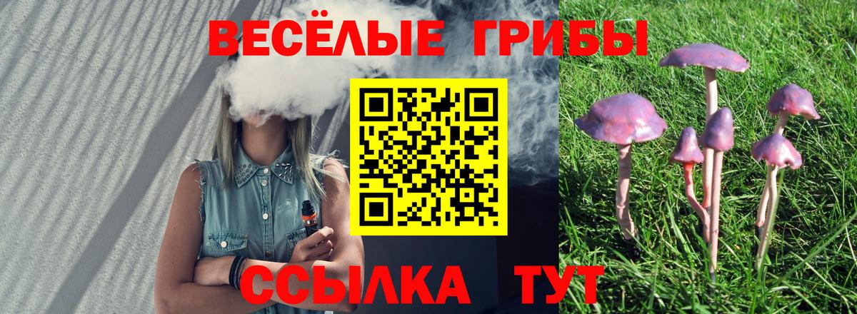 продажа наркотиков  Псилоцибиновые грибы GOLDEN TEACHER  Вход с VPN  Симферополь  Псилоцибиновые грибы мухоморы 